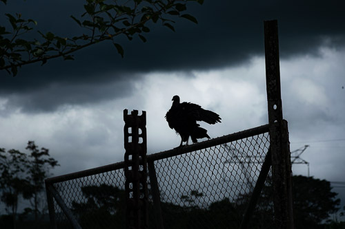 Costa Rica - May 2023